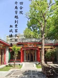 四合院:开局穿到贾家衣柜里